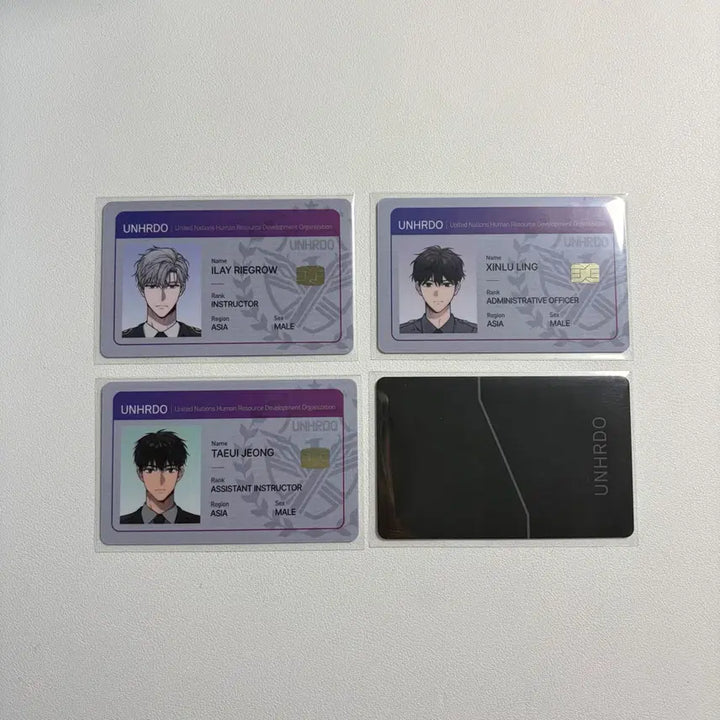 [BUNJANG] UNHRDO Card Bundle Set / 패션 UNHRDO 카드 일괄 양도