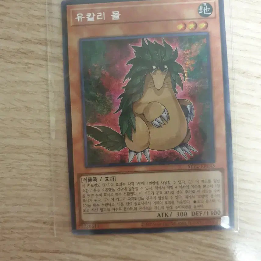 [BUNJANG] Yu-Gi-Oh! Eucalyptus Mall Secret Rare Card / 유희왕 유칼리 몰 시크릿레어