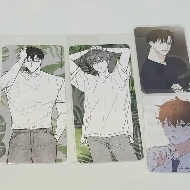 [BUNJANG] Part Time Partner Papabeyond Visit Photocard Lenticular Binder Postcard / bl 모펀 파트타임파트너 파파 비욘드 방문 포카 렌티 바인더 엽서
