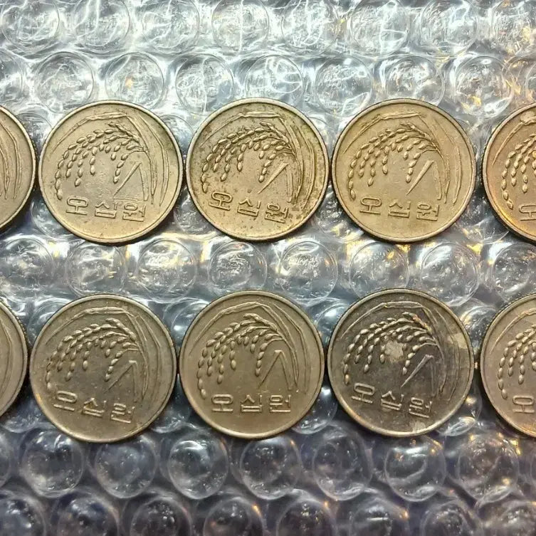 [BUNJANG] 1993 50 Won Coins Bundle Set (10 pcs) / 1993년 50원 10개일괄