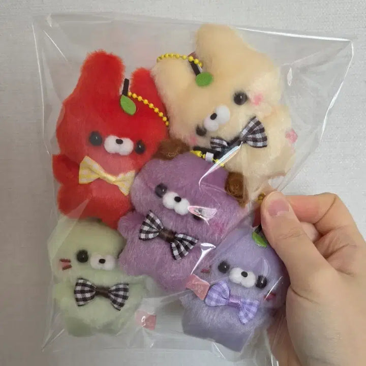 [BUNJANG] Sukutto Touch-san Plush Keyring Bundle Set / 스쿳토탓치상 정품 인형키링 5개 일괄