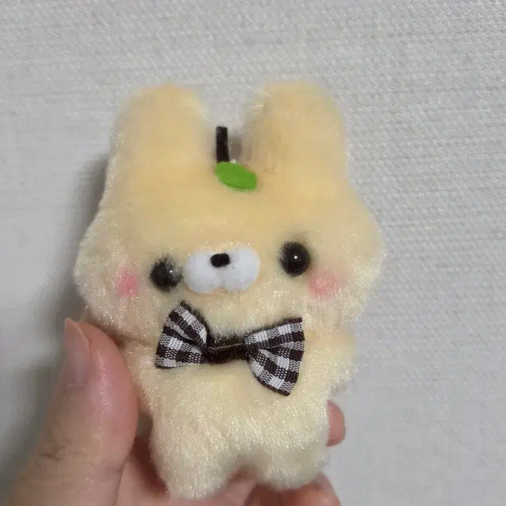 [BUNJANG] Sukutto Touch-san Plush Keyring Bundle Set / 스쿳토탓치상 정품 인형키링 5개 일괄
