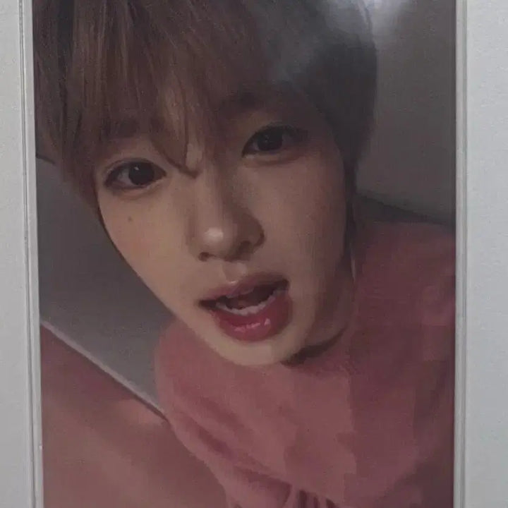 [SOLD OUT] 엔시티위시 사쿠야 포카 양도 컬러 예스24 미공포 영통