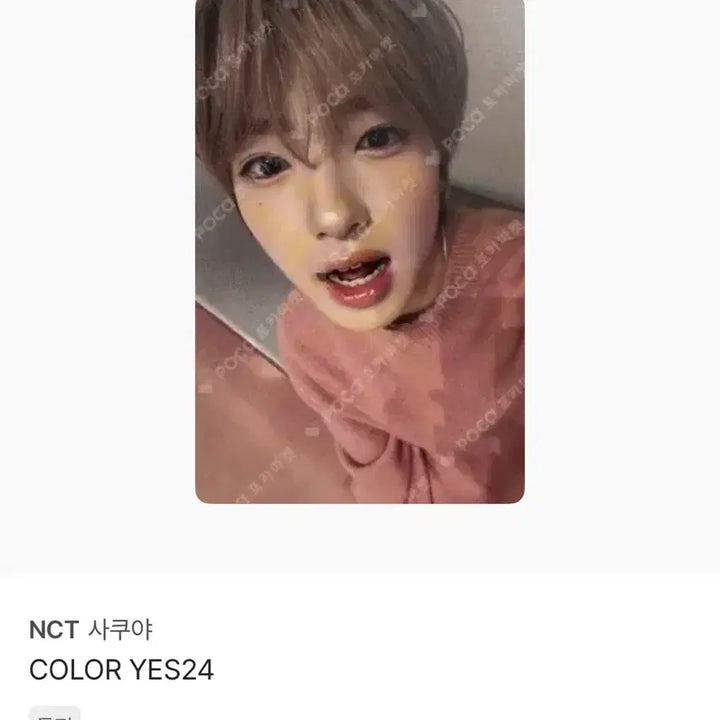 [SOLD OUT] 엔시티위시 사쿠야 포카 양도 컬러 예스24 미공포 영통