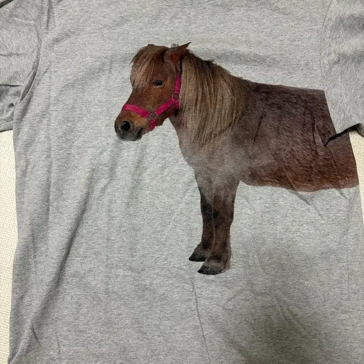 [BUNJANG] Please Project Horse T-Shirt / 플리즈프로젝트 말 티셔츠
