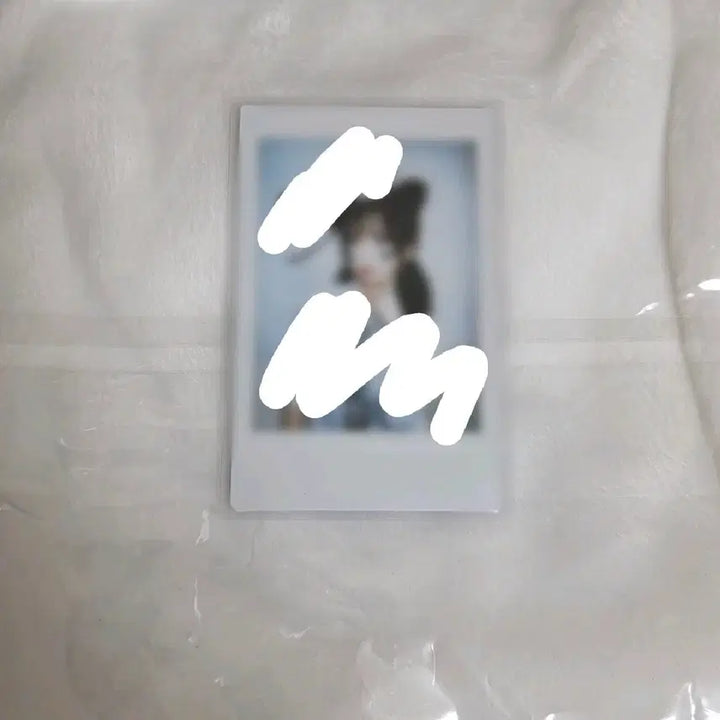 [BUNJANG] QWER Magenta Signed Polaroids / qwer 마젠타 친필 싸인폴라 싸폴 판매