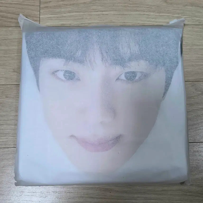 [BUNJANG] BTS Jin Lunar Concert Raincoat (Army Gift) / (새상품) BTS 방탄 석진 달석콘 런석진 아미기프트 우비