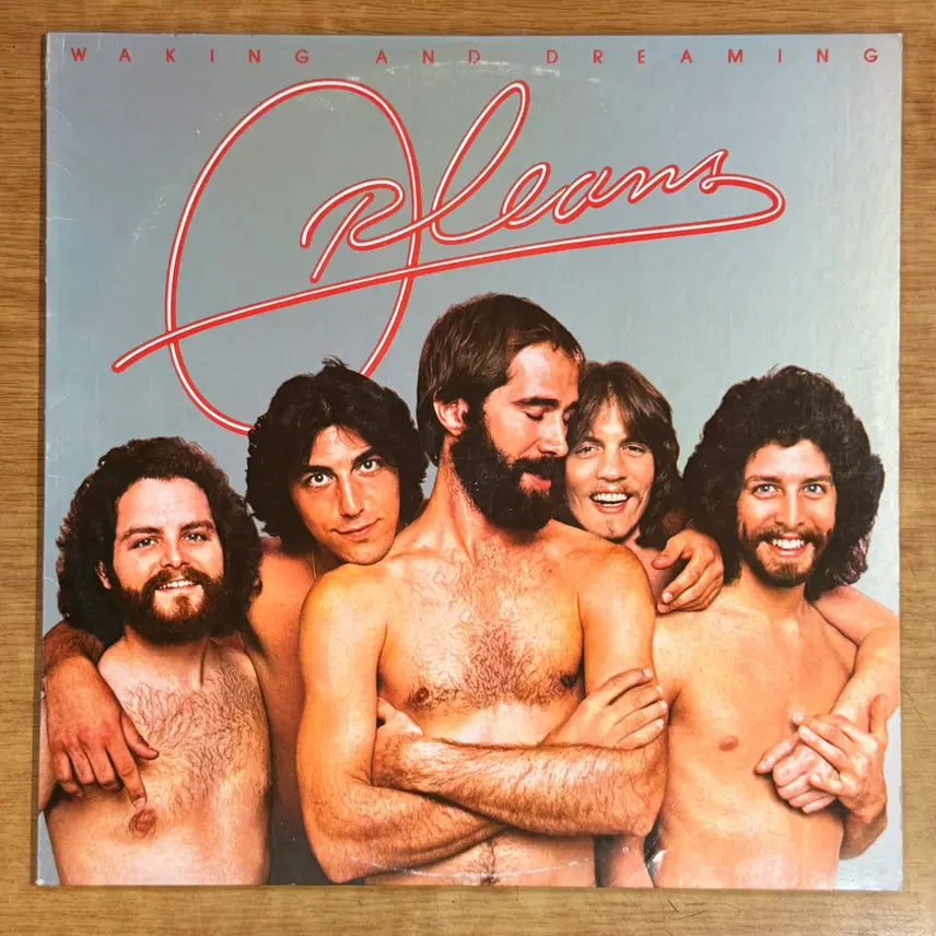 [BUNJANG] Orleans Waking and Dreaming LP Record / 미국 LP) Orleans - Waking and dreaming