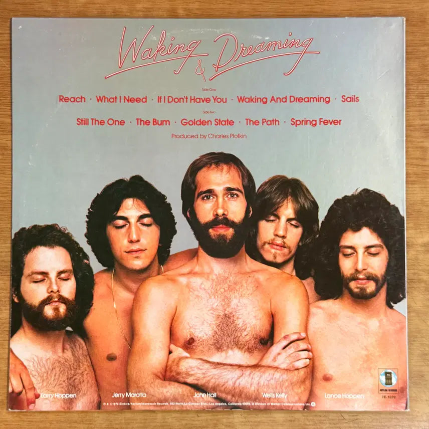 [BUNJANG] Orleans Waking and Dreaming LP Record / 미국 LP) Orleans - Waking and dreaming