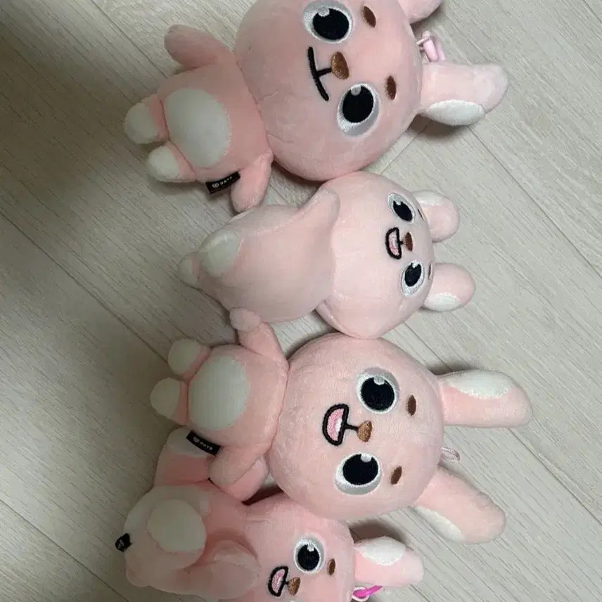 [SOLD OUT] DAY6 데이식스 원필 필끼