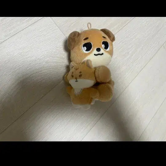 [BUNJANG] DAY6 "The Demon" Magnet Set / 데이식스 케 돈