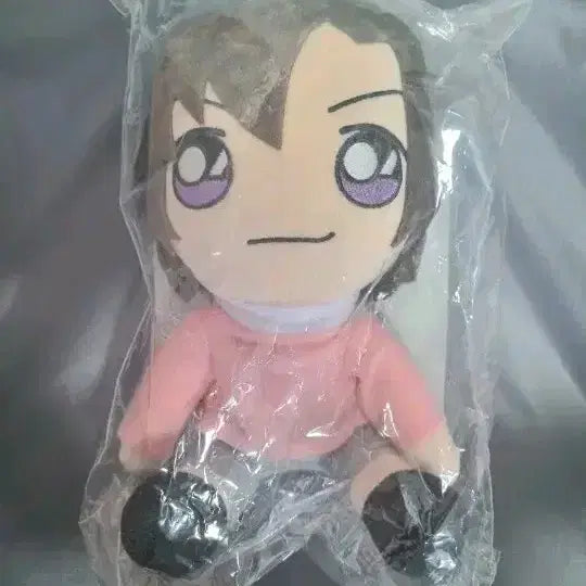 [BUNJANG] Detective Conan 20cm Plush Doll Kenji Hagiwara / 명탐정 코난 쿠지 20cm 누이 인형 하기와라 켄지 하기완