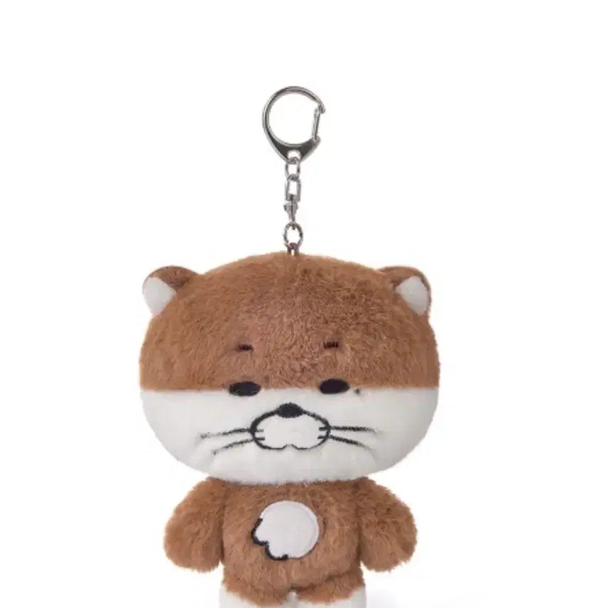 [SOLD OUT] [BUNJANG] BOYNEXTDOOR Riwoo Doll / 보넥도 쁘넥도 달링이 양도 보이넥스트도어 리우 인형 판매