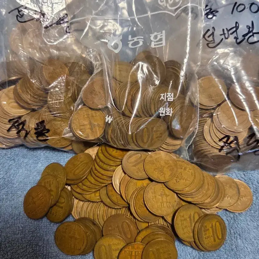 [BUNJANG] 1970 10 Won Coin (Red Copper) / (포갈매기님지정분양)1970년 10원동전 (적동)