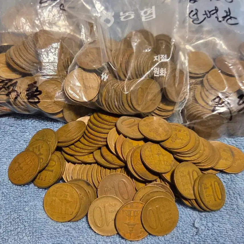 [BUNJANG] 1970 10 Won Coin (Red Copper) / (포갈매기님지정분양)1970년 10원동전 (적동)