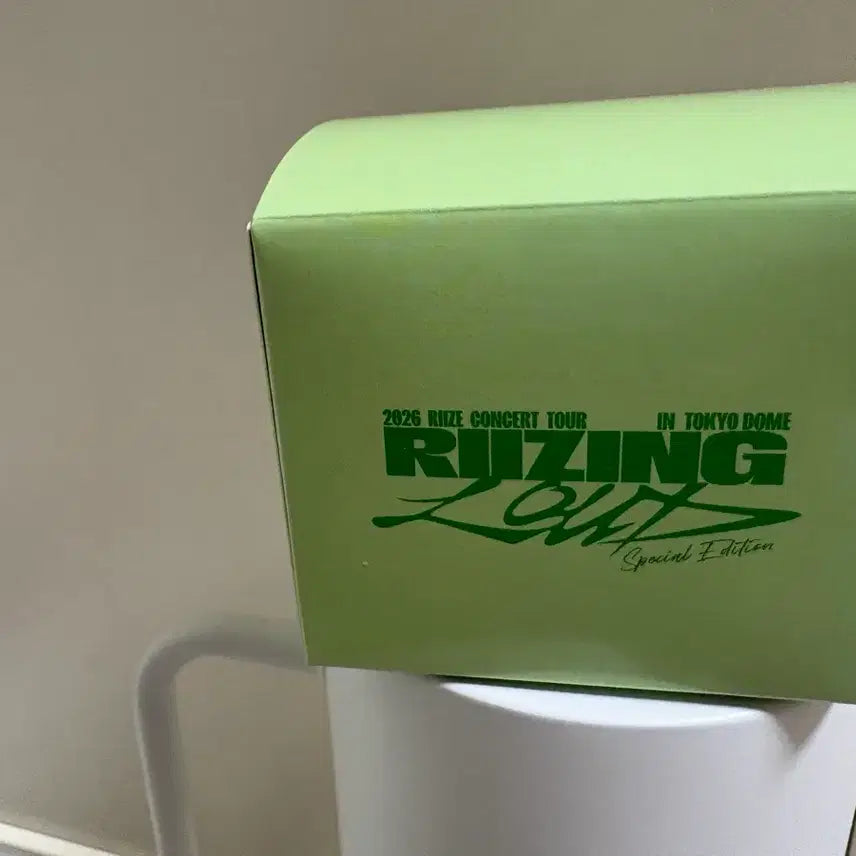 [BUNJANG] RIIZE Anton Tokyo Dome Exclusive Hairpin / 라이즈 도쿄돔 헤어핀 멍룡 버전