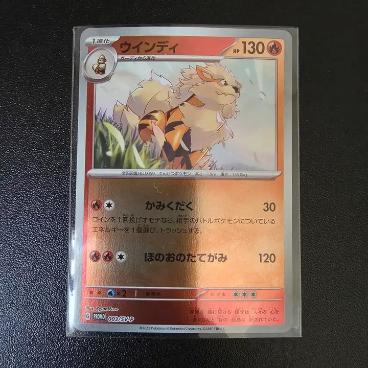 [BUNJANG] Pokemon Windy Promo Card Japanese / 포켓몬 윈디 프로모 카드 일본 일판