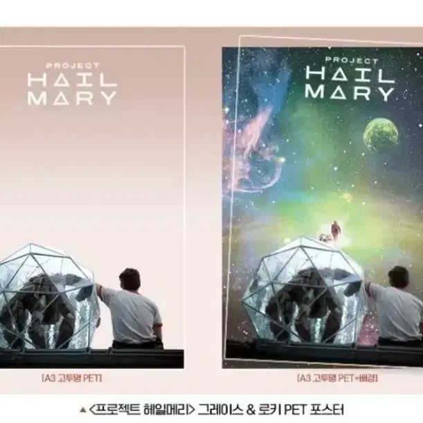 [BUNJANG] Project Hail Mary Grace &amp; Loki PET Poster / 프로젝트 헤일메리 그레이스 &amp; 로키 PET 포스터