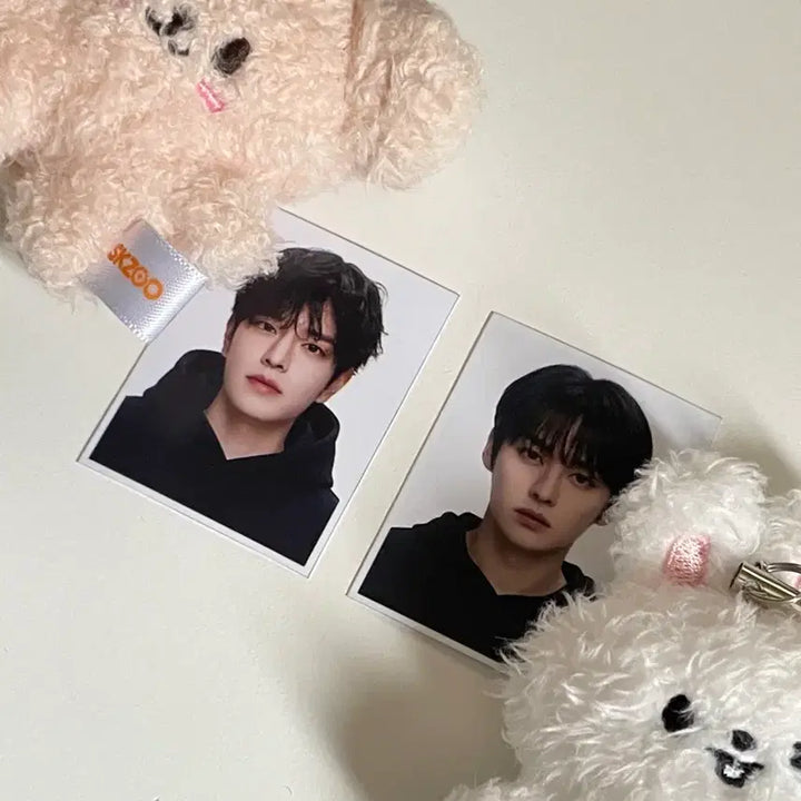 [BUNJANG] Stray Kids Lee Know Seungmin Gwanjoo Small Photos Bundle Set / 스트레이키즈 스키즈 리노 승민 가관즈 증사 스키즈 비공굿