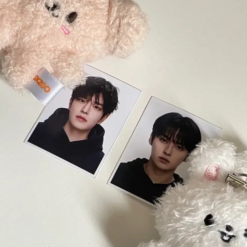 [BUNJANG] Stray Kids Lee Know Seungmin Gwanjoo Small Photos Bundle Set / 스트레이키즈 스키즈 리노 승민 가관즈 증사 스키즈 비공굿