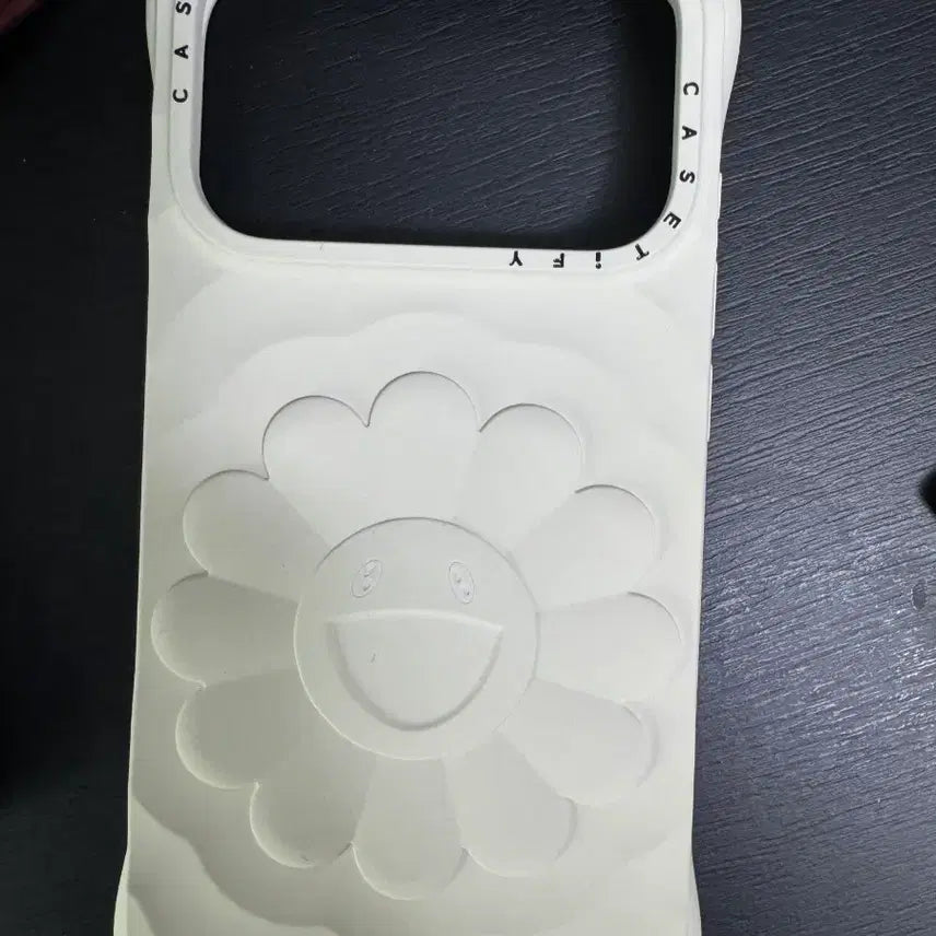 [BUNJANG] Casetify iPhone 17 Pro Case / 아이폰 17프로 케이스 팝니당