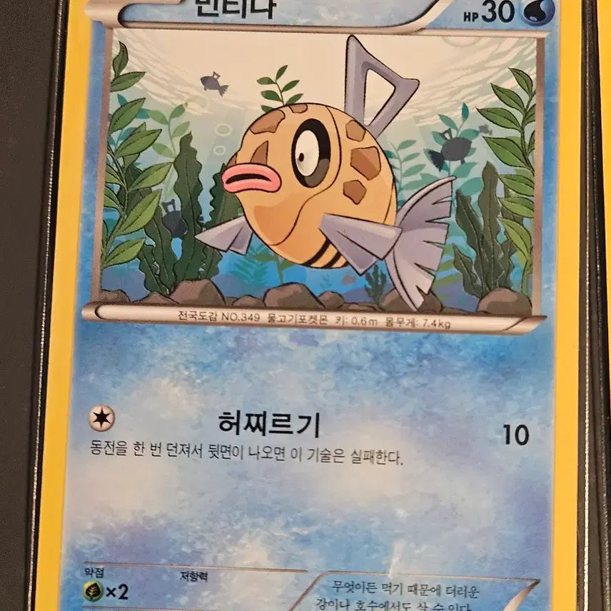 [BUNJANG] Pokemon Card Set / 포켓몬 카드 미끄네일, 빈티나 등