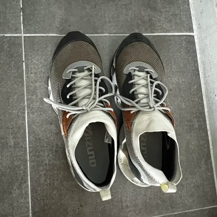 [BUNJANG] Mizuno Wave Prophecy Beta Fallen Rock Sneakers / 미즈노 웨이브 프로페시 베타 폴른 락 스니커즈