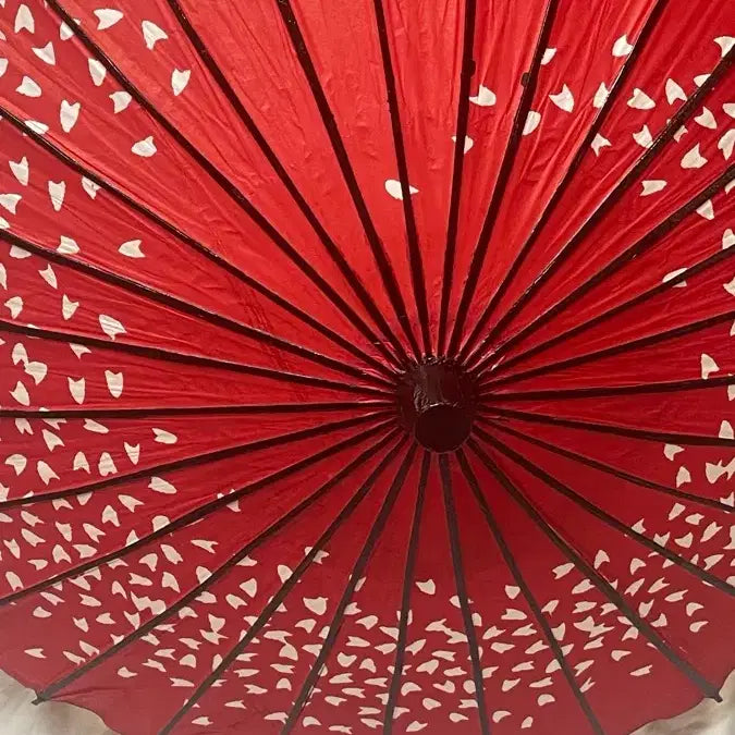 [BUNJANG] Red White Patterned Japanese Traditional Wagasa Umbrella / 레드 화이트 패턴 일본 전통 와 우산 와가사 코스프레 소품 판매합니다!