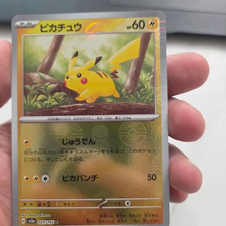 [BUNJANG] Pokemon Card Pikachu Forest Mirrormint / (일본판) 포켓몬카드 숲속 피카츄 미러볼