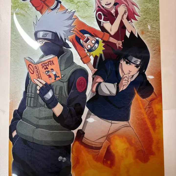 [BUNJANG] Naruto Official Art Book Clear File Bundle Set / 나루토 설정집 클리어파일(일괄)