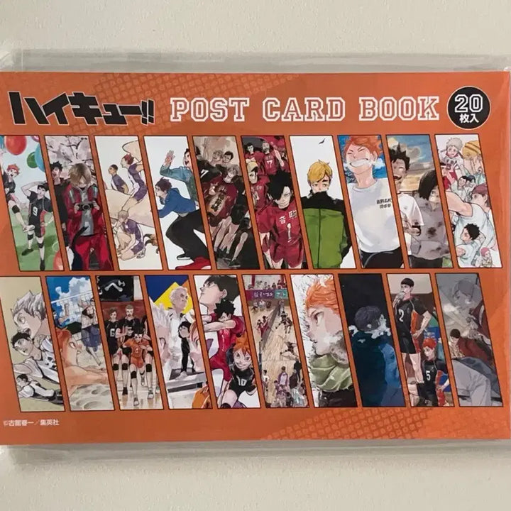 [BUNJANG] Haikyu!! Fanpark Original Drawing Postcard Set (20 Types) / (미개봉/현물) 하이큐 팬파크 원화 엽서 20종 세트 엽서북