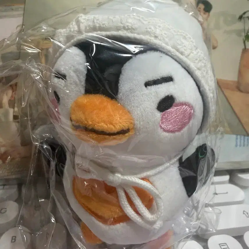 [BUNJANG] Junho Penguin Plush Toy / 준호 펭펭이