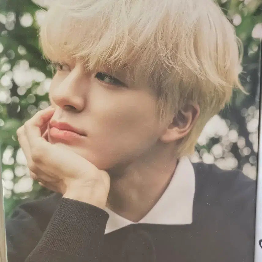 [BUNJANG] NCT DREAM Jeno Endless Full Set Photocard / endless 엔시티 드림 제노 풀셋