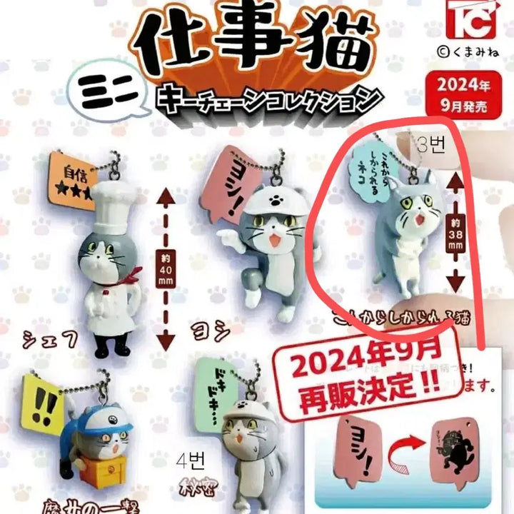 [BUNJANG] Shigotononeko Working Cat "Joasseu" Charm / 시고토네코 일하는 고양이 좋았쓰 키링 가챠