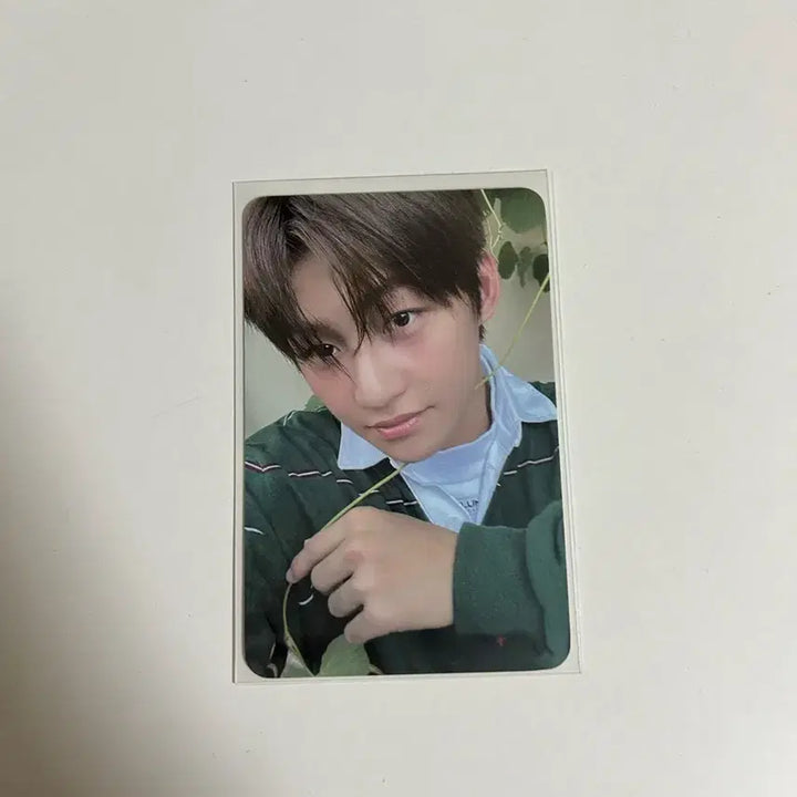 [BUNJANG] TWS Jihoon Sparkling Blue Soundwave POB Photocard / 투어스 지훈 스파클링 블루 사운드웨이브 특전 미공포