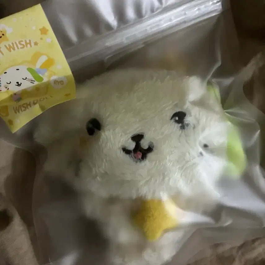 [BUNJANG] WishDoll RyunRyun Sealed / 위시돌 미개봉 룐룐