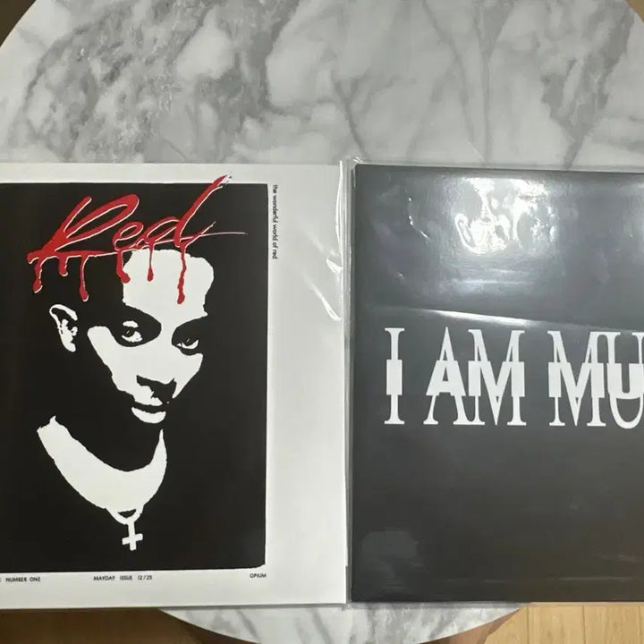 [BUNJANG] Imported Vinyl Records / 플레이보이 카티 Lp
