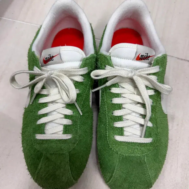 [BUNJANG] Nike Cortez Chlorophyll Shoes / 나이키 코르테즈 클로로필 260