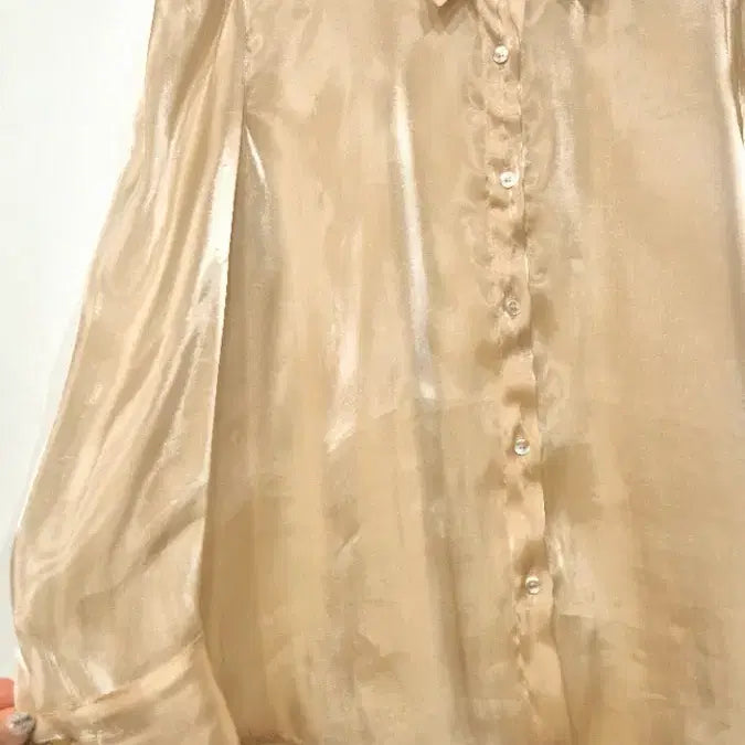 [BUNJANG] Glossy See-Through Blouse / 광택 시스루 블라        싸이즈 :  55-66
