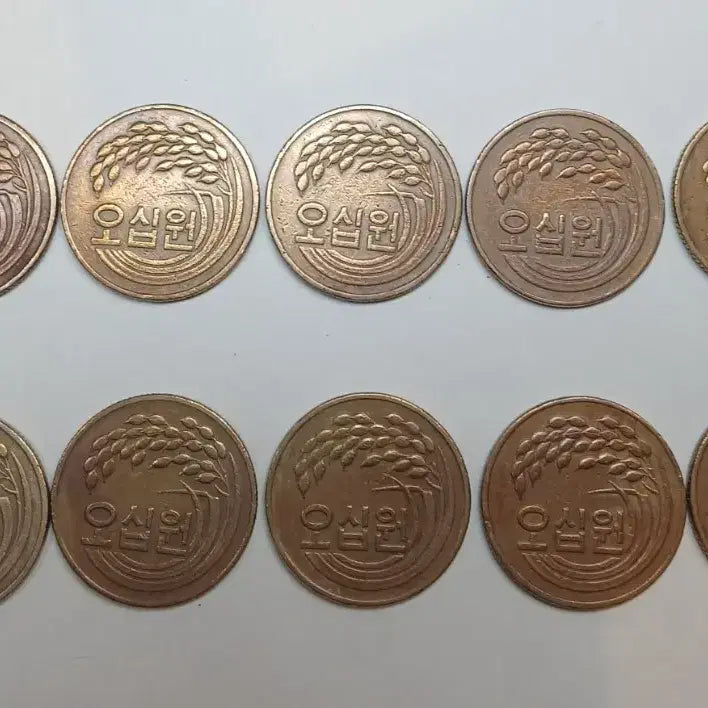 [BUNJANG] 1981 50 Won Coin Bundle (10 pieces) / 1981년 50원 동전 10개 일괄