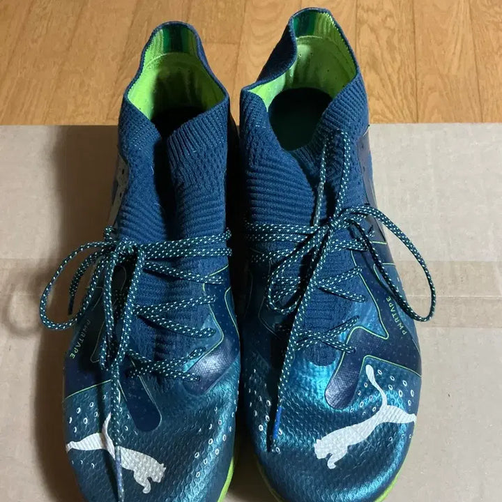 [BUNJANG] Puma Future Ultimate Cage Soccer Cleats - 270mm / 푸마 퓨처 얼티메이트 케이지 270