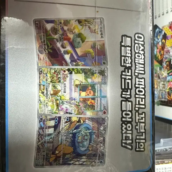 [BUNJANG] Pokemon Ex Special Deck Set Venusaur/Charizard/Blastoise / 포켓몬카드 이상해꽃/리자몽/거북왕 ex 스페셜 덱 세트