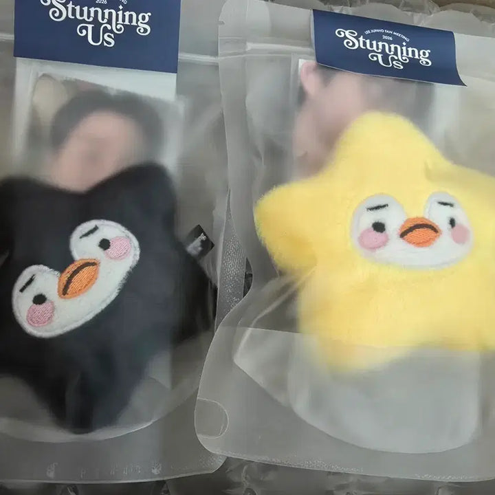 [BUNJANG] 2PM Junho Byulpeng Keyring Set / 이준호 별펭 키링
