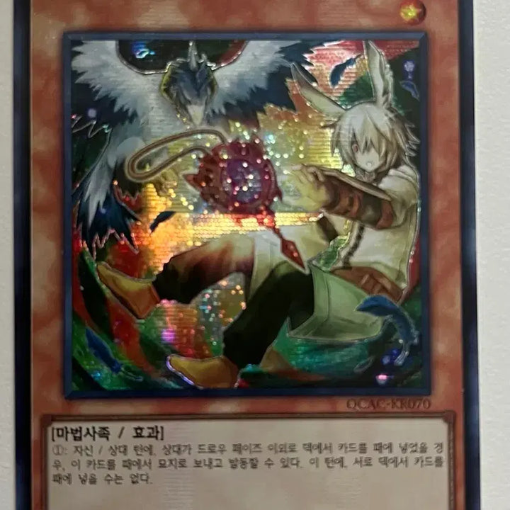 [BUNJANG] Drool &amp; Rocbird Shin Illustration Secret Rare / 드롤&amp;로크버드 신일러 시크릿레어