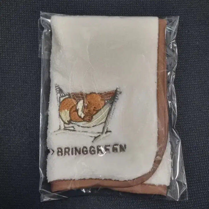 [BUNJANG] Pokemon Eevee Hand Towel (Sealed) / 미개봉) 포켓몬스터 이브이 핸드 타월