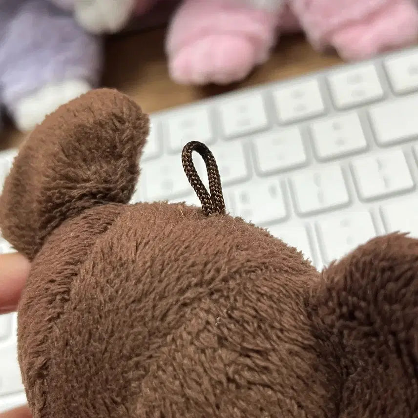 [BUNJANG] Sekiguchi Bears&