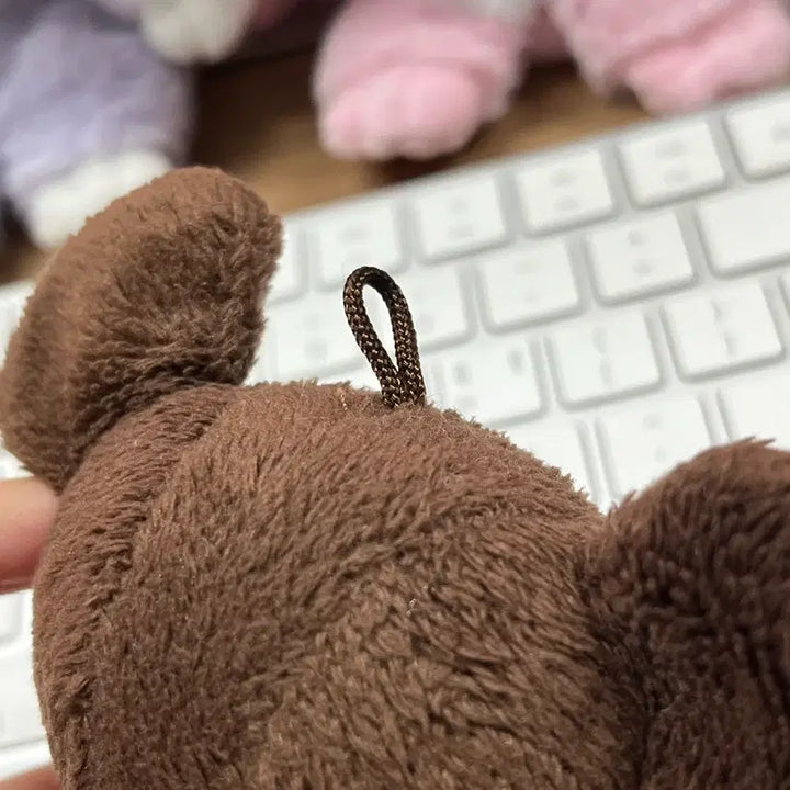 [BUNJANG] Sekiguchi Bears&