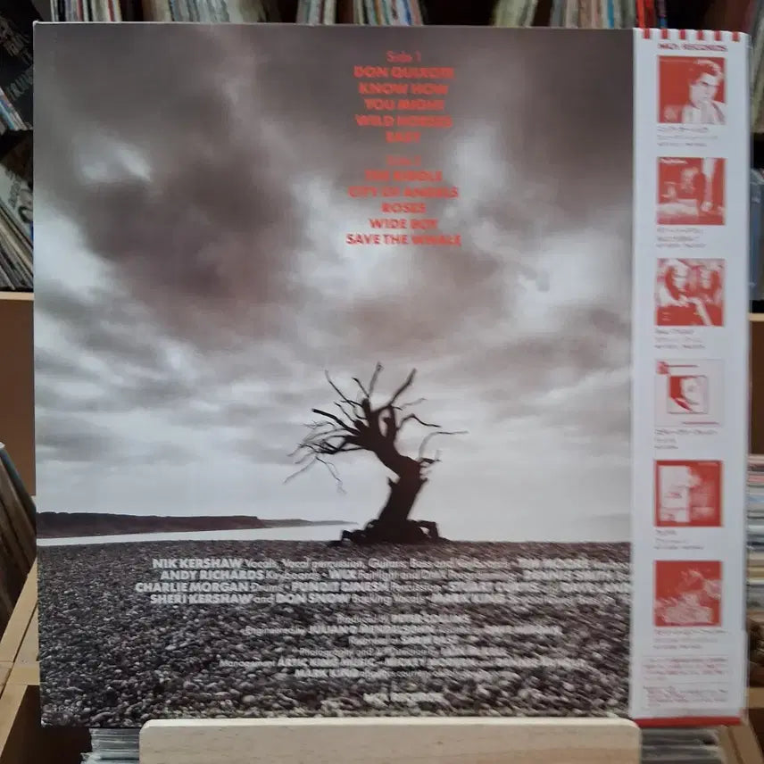 [BUNJANG] Nick Kershaw The Riddle LP / 민트급 닉 커쇼 The Riddle LP