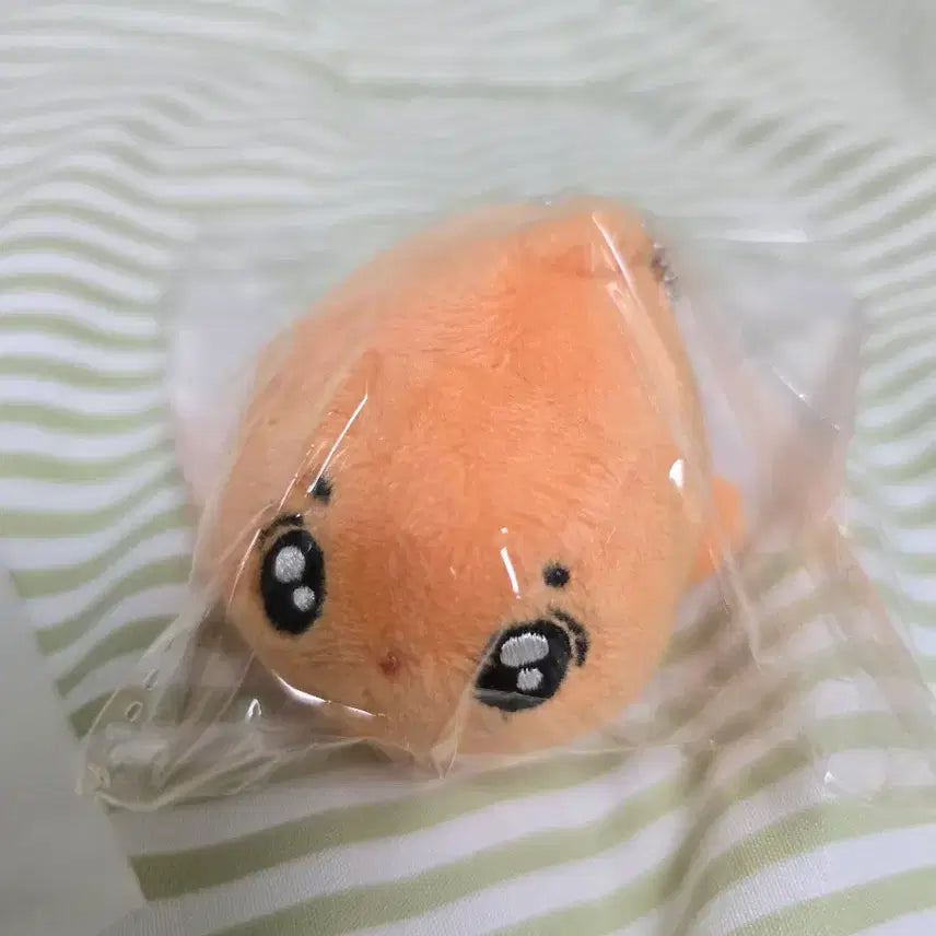 [BUNJANG] BOYNEXTDOOR Leehan Geumhan Plush Doll / 보이넥스트도어 인형 금한이 양도