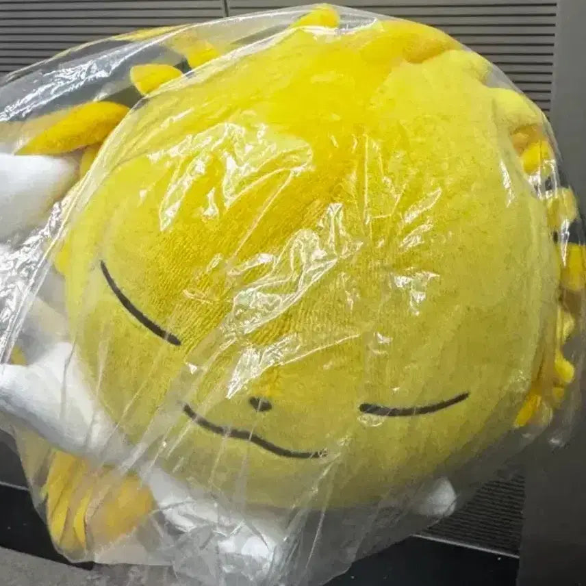 [BUNJANG] Pokemon Center Sleeping Jolteon Plush / 포켓몬센터 포켓몬스터 스야스야 쥬피썬더 인형